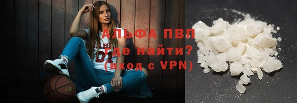 стафф Алзамай