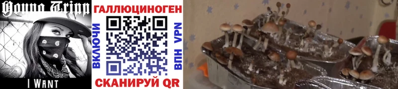 Псилоцибиновые грибы мухоморы  Минусинск 